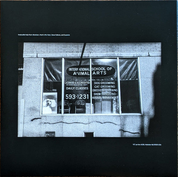 Yo La Tengo This Stupid World Matador 2xLP, Album Mint (M) Mint (M)
